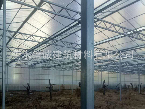 生態(tài)餐廳用陽(yáng)光板